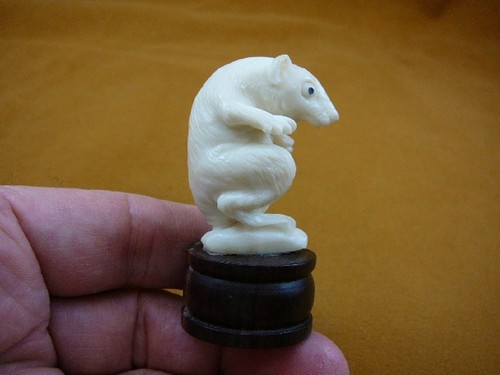 Statuina palma - (tb-rat-5),